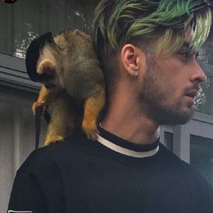 Meet your Posher, Jaime